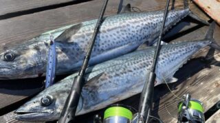 【2025年秋シーズン】サゴシをブレードジグでキャスティングで狙う