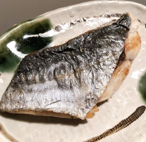 美味しいサゴシをエキサイティングなキャスティングで狙おう