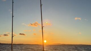 【2025年秋シーズン】湾奥インショアのすすめ　おすすめタックルをご紹介(リール編)